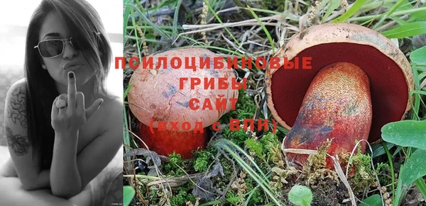 МДПВ Белокуриха